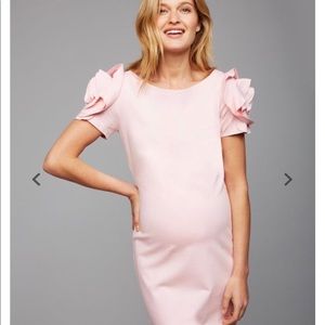 NWT Pietro Brunelli Salisburgo Maternity Dress